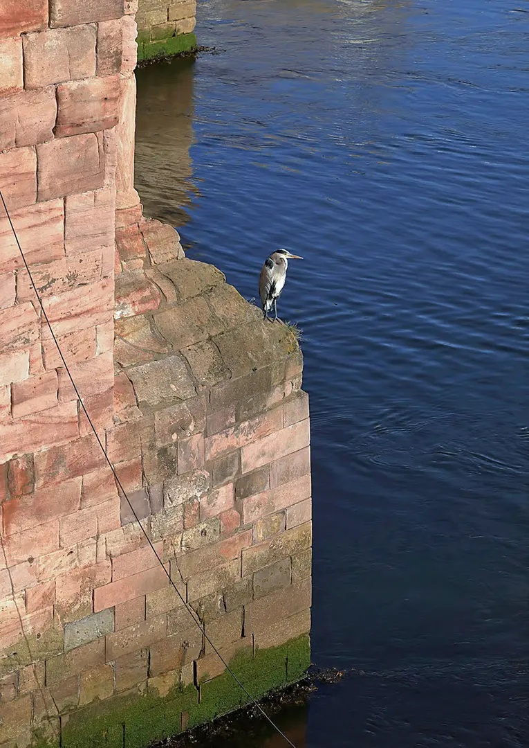Berwick Bridge