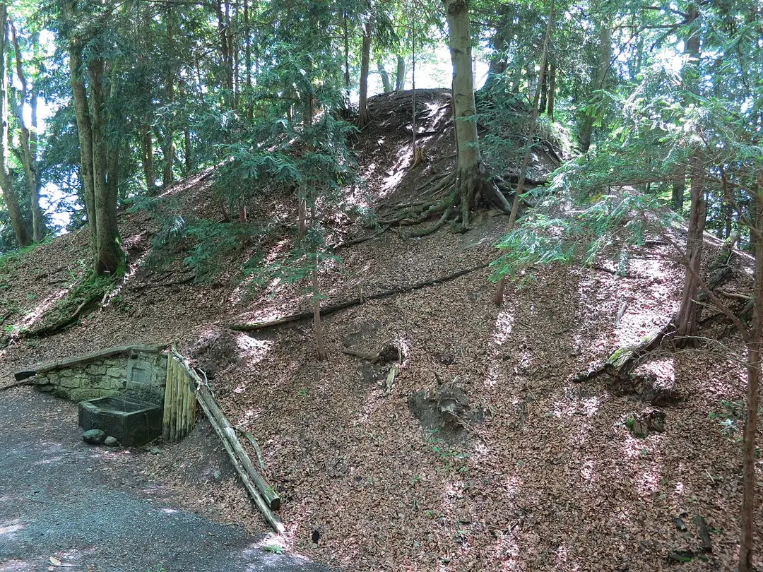 Burg Manegg