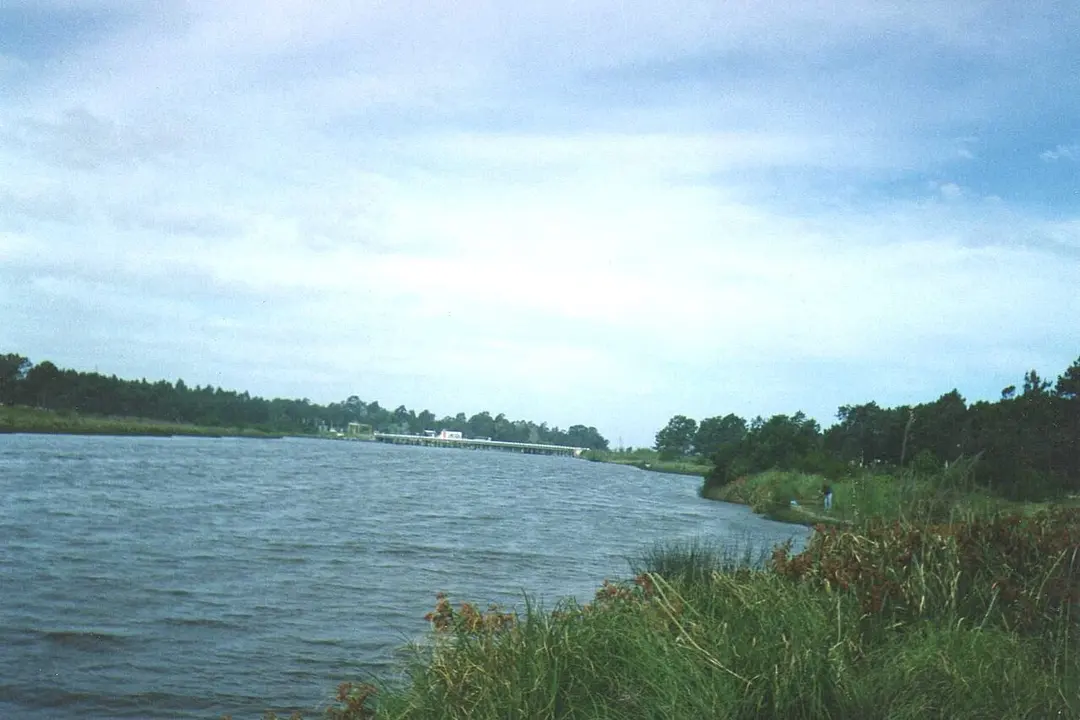 Arroyo Pando