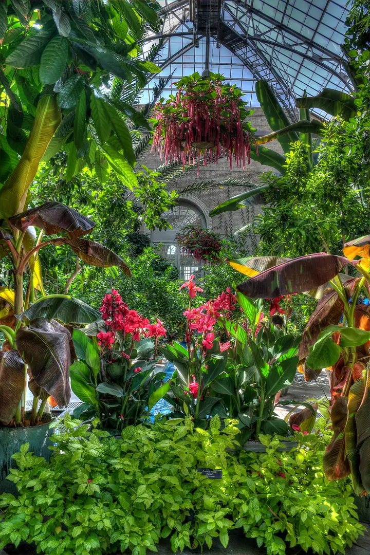 United States Botanic Garden