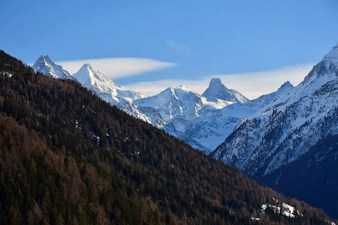 Arbenhorn