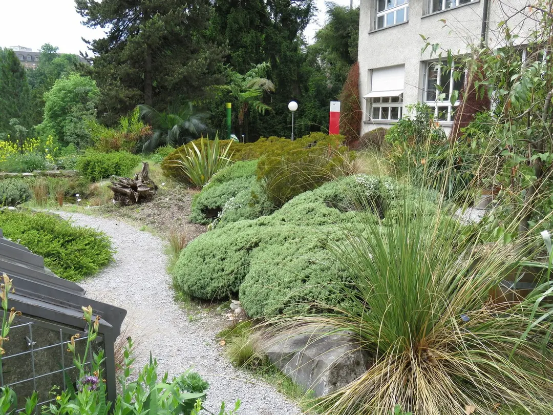 Botanischer Garten Bern