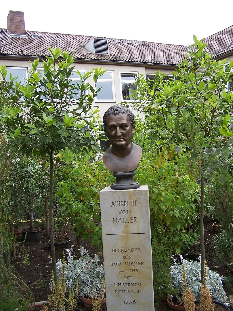 Alter Botanischer Garten