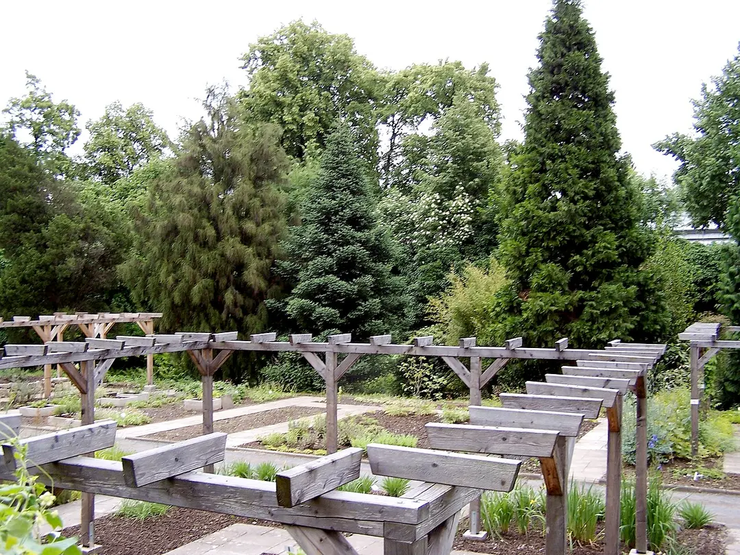 Alter Botanischer Garten