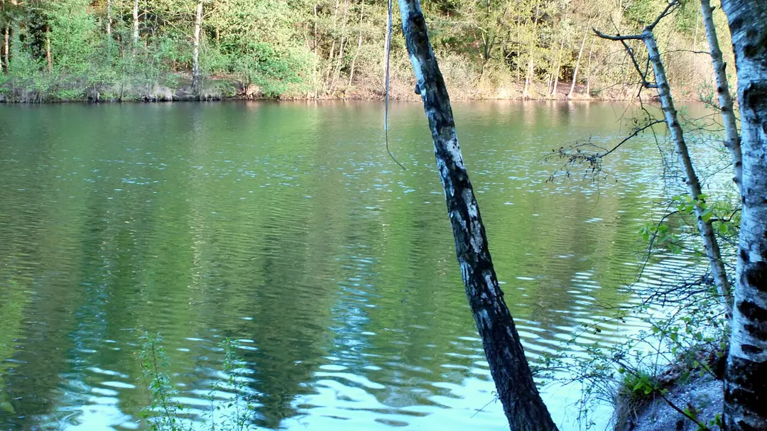 Venekotensee