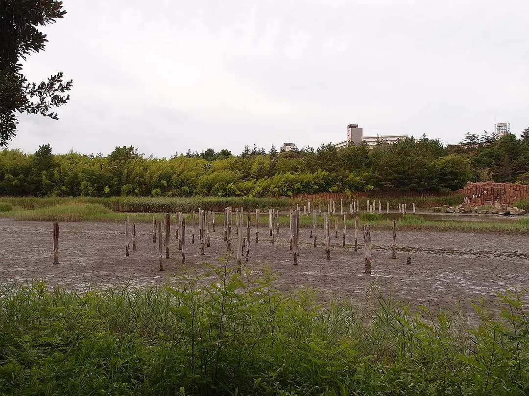 Kasai Rinkai Park
