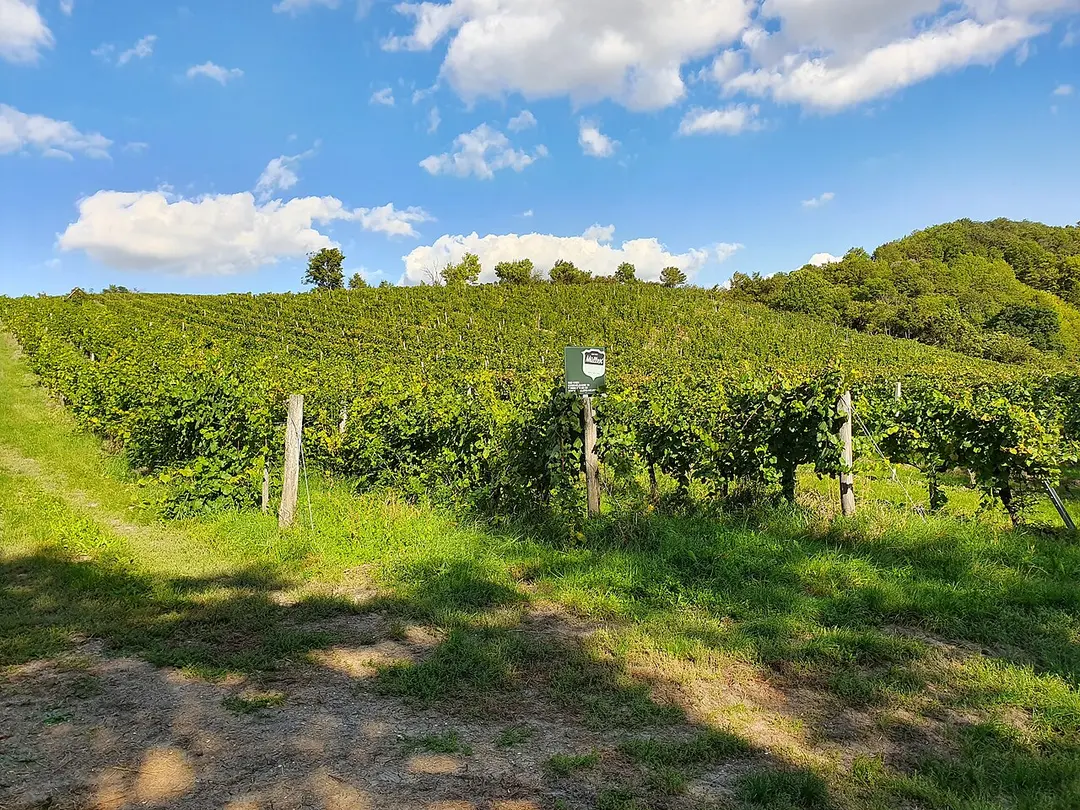 Kahlenberg
