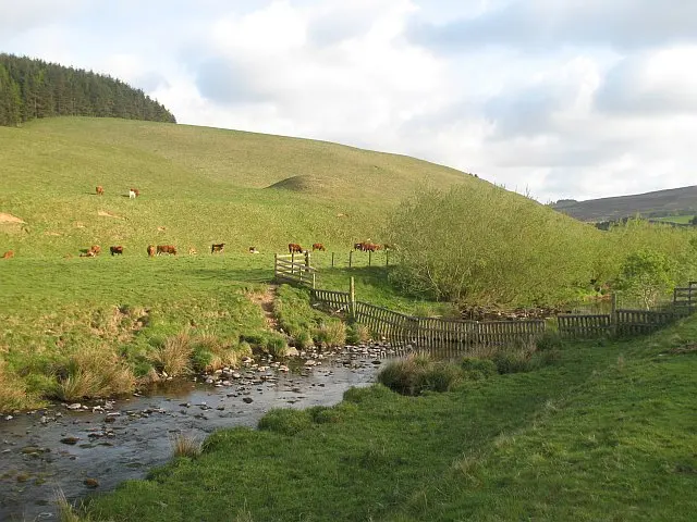 Bothwell Water