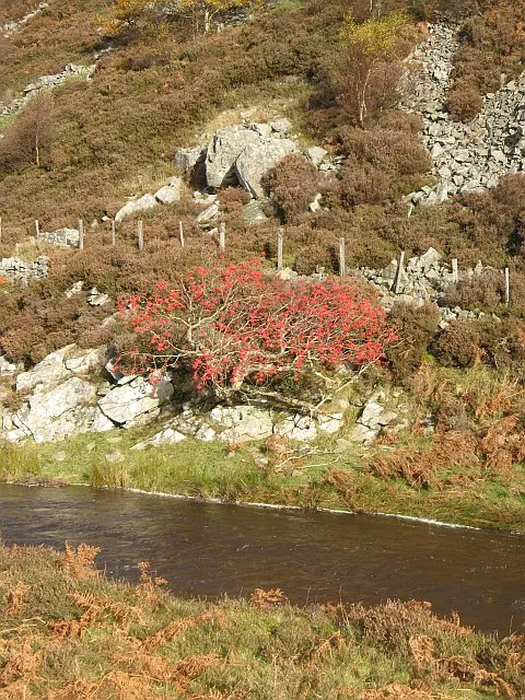Bothwell Water