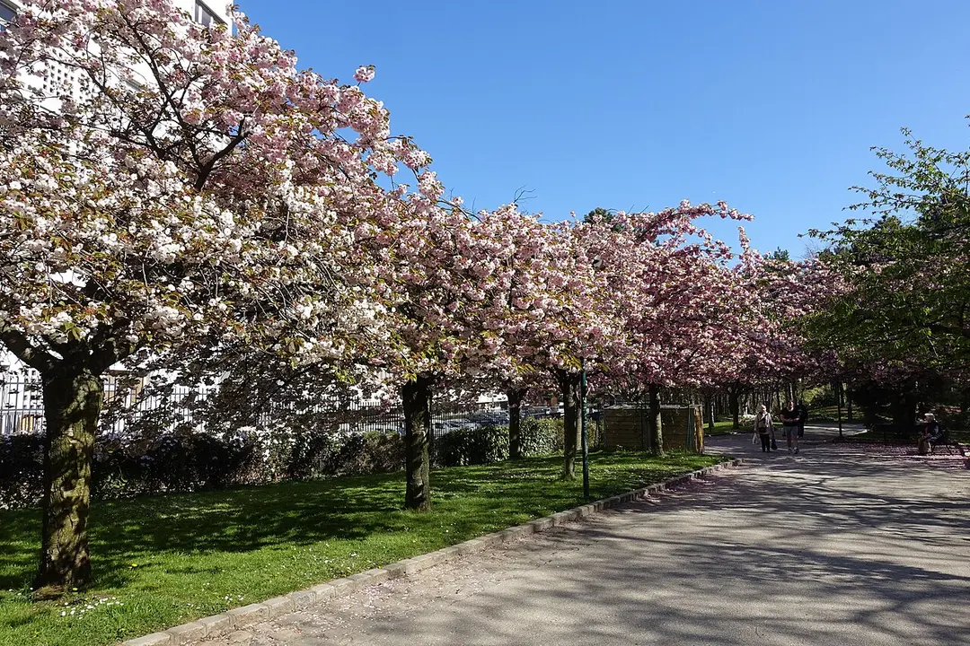 Parc Georges Brassens