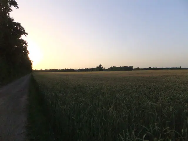 Brunnenbuberl