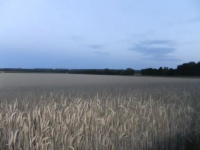 Brunnenbuberl