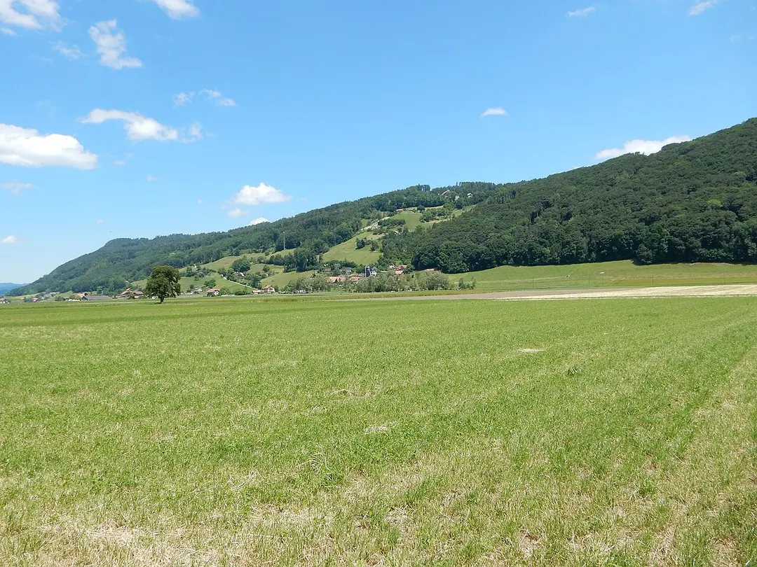 Belpberg
