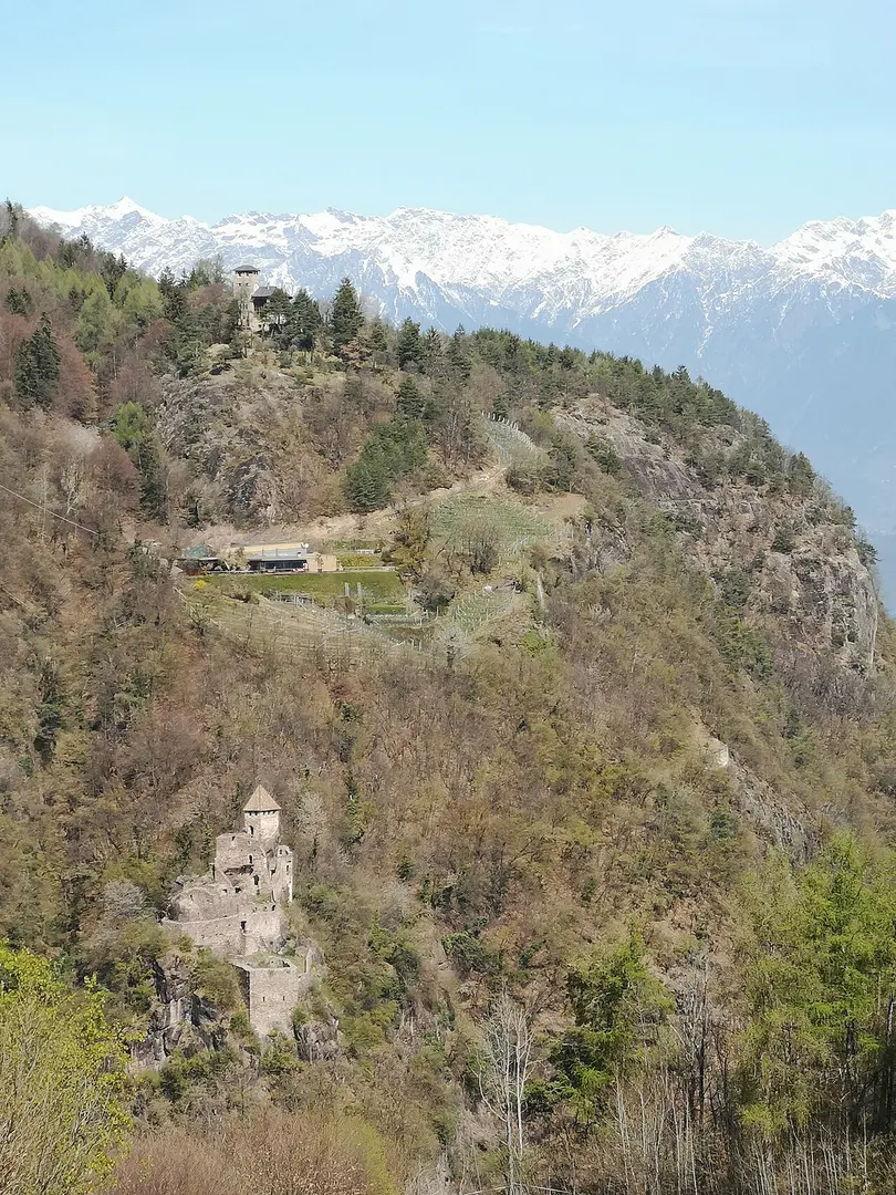 Festenstein