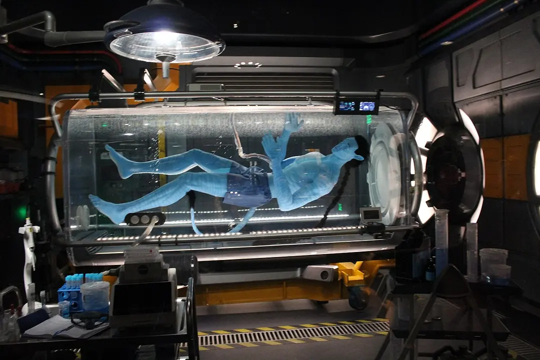 Avatar Flight of Passage