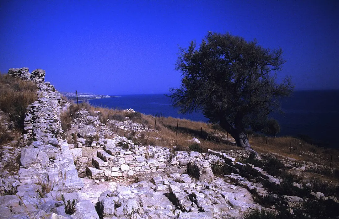 Amathous