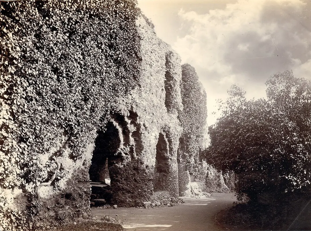 Abbey Ruins