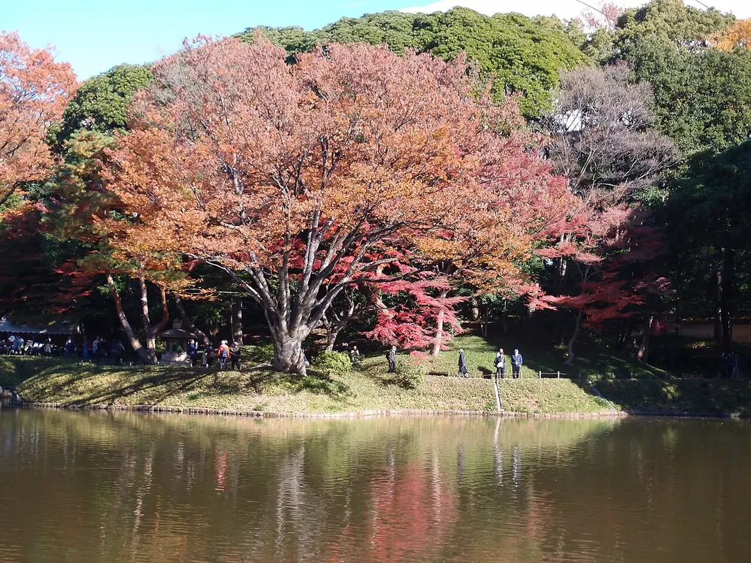 Koishikawa Kōrakuen Gardens