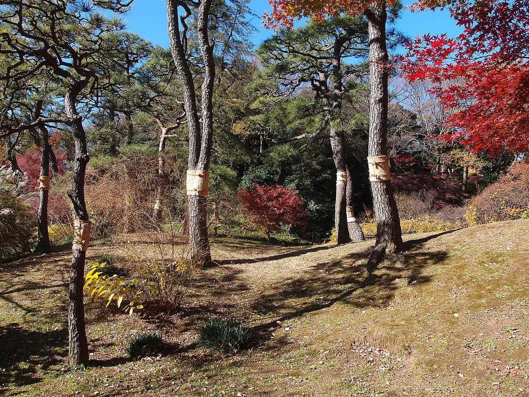 Koishikawa Kōrakuen Gardens