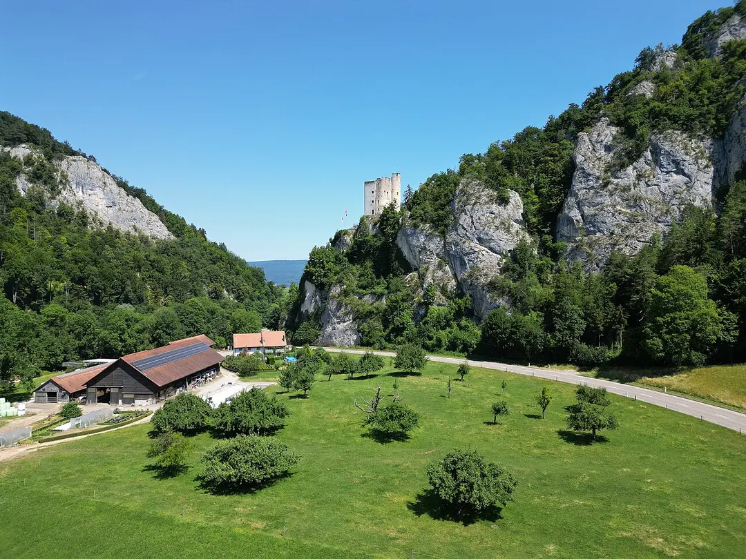 Neu-Thierstein Castle