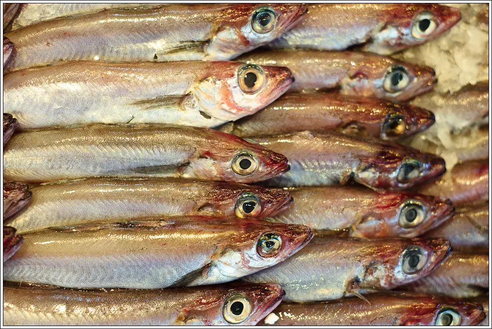 Mercado Central de Salamanca