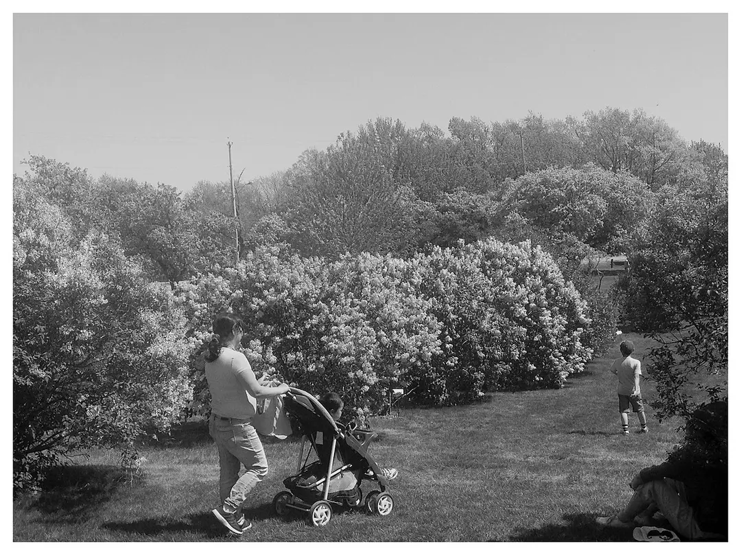 Fletcher Wildlife Gardens