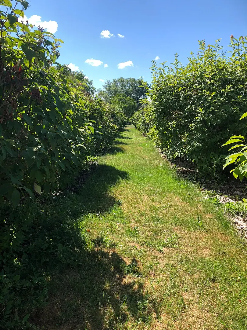 Fletcher Wildlife Gardens