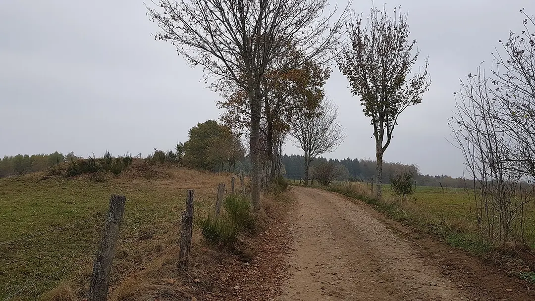 Hügelgräber Schinkelsknopf