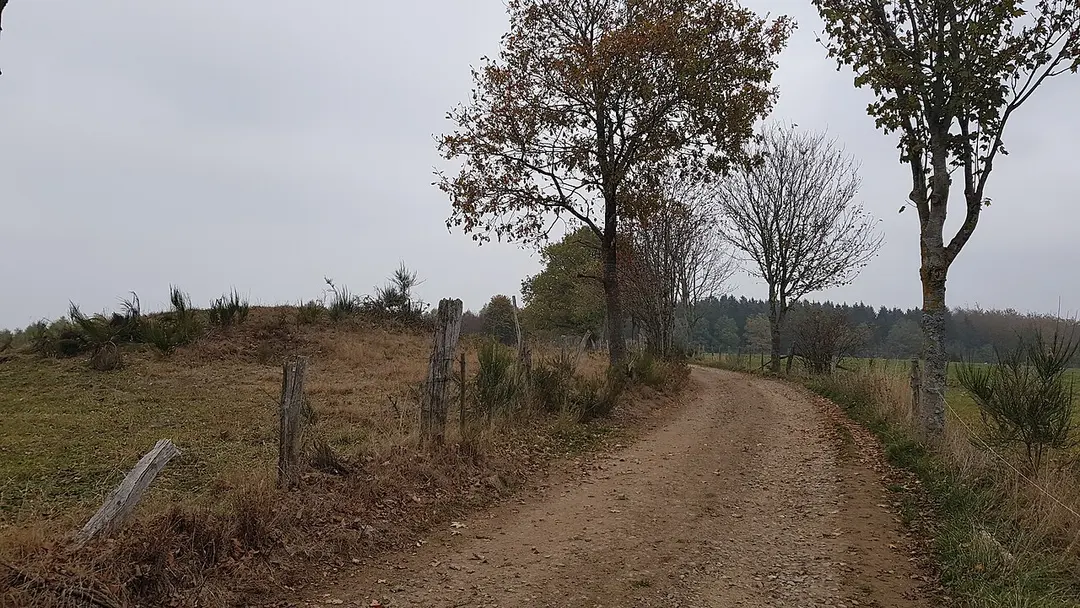 Hügelgräber Schinkelsknopf