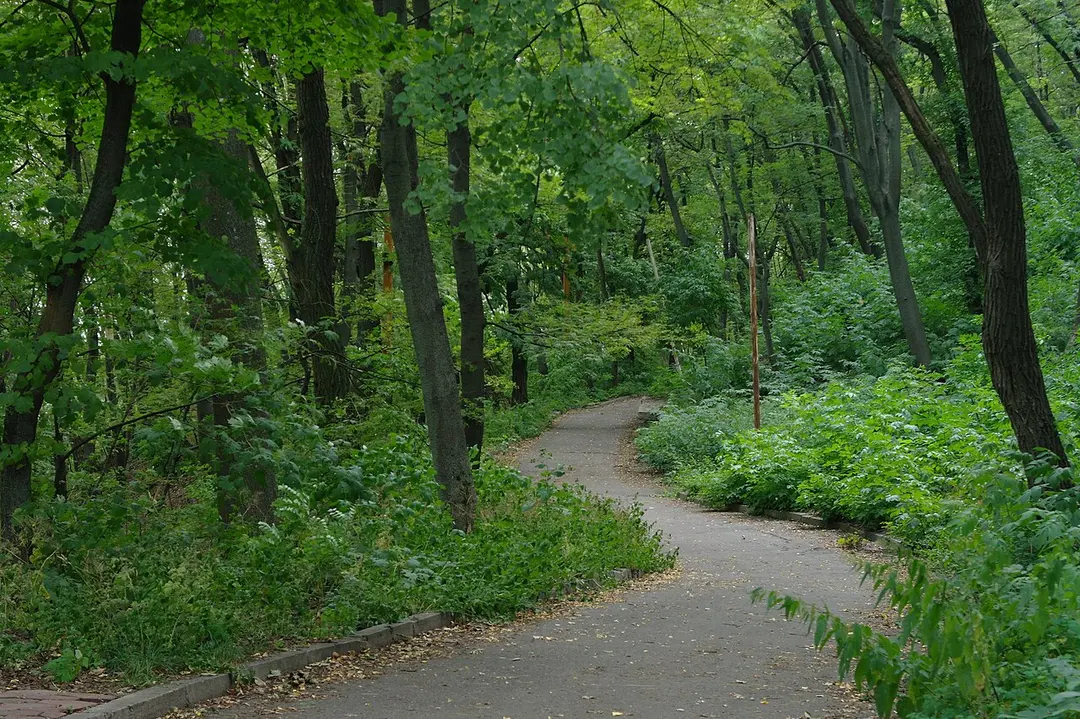 Askolds Grab (Park)