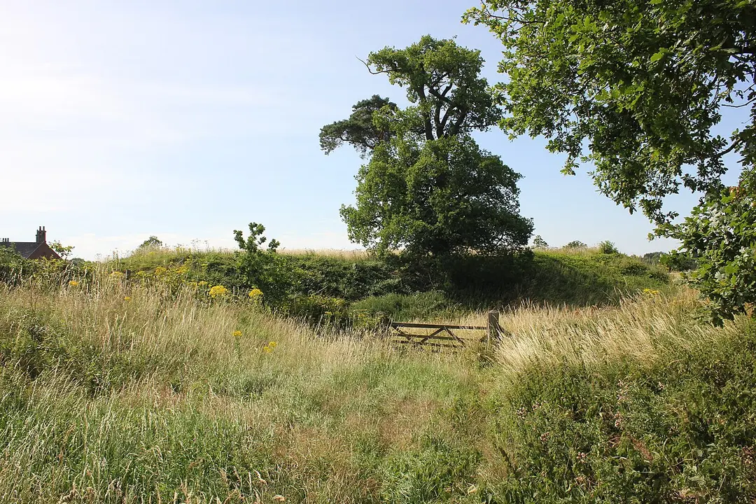 Blobb Hill Castle