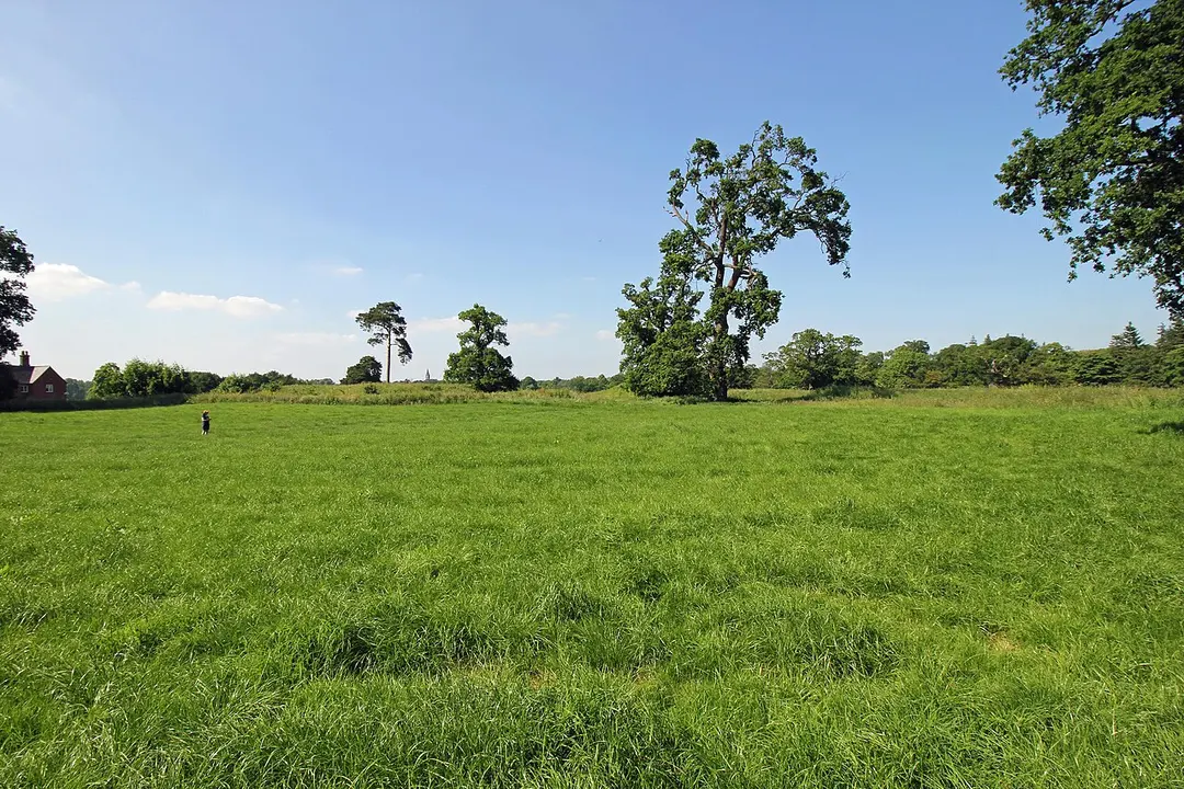 Blobb Hill Castle