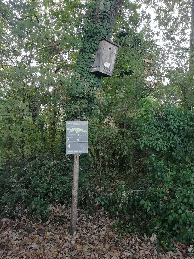 Bosco della Frattona