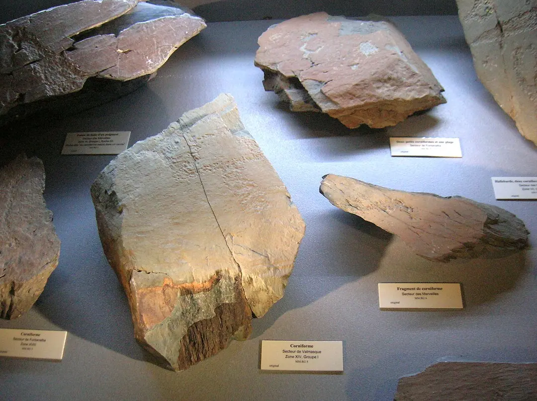 Musée des Merveilles