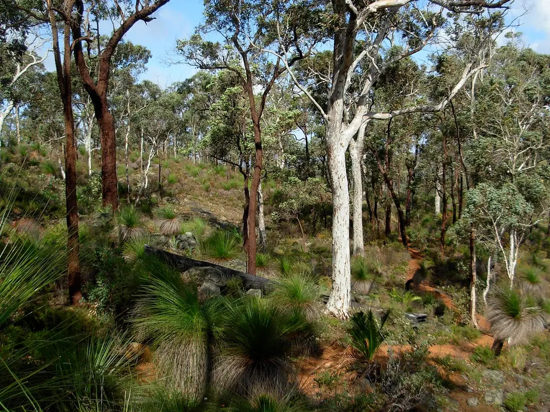 Beelu National Park