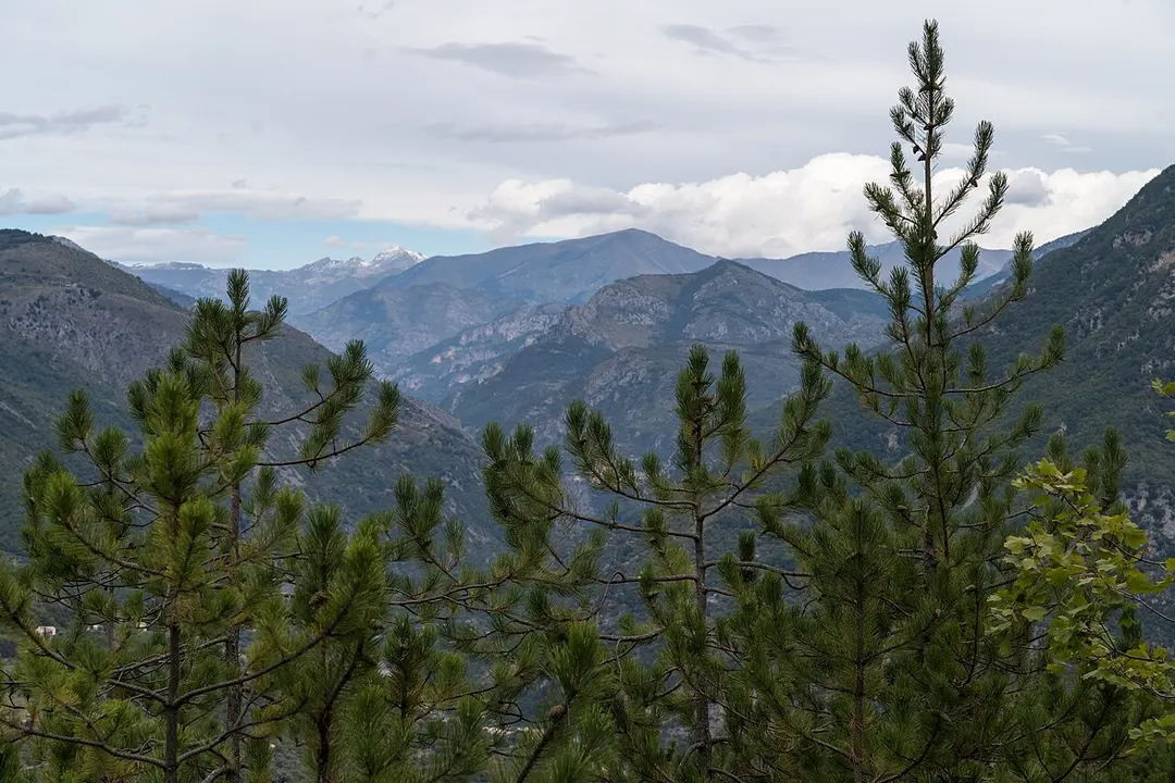 Parc national du Mercantour (cœur)