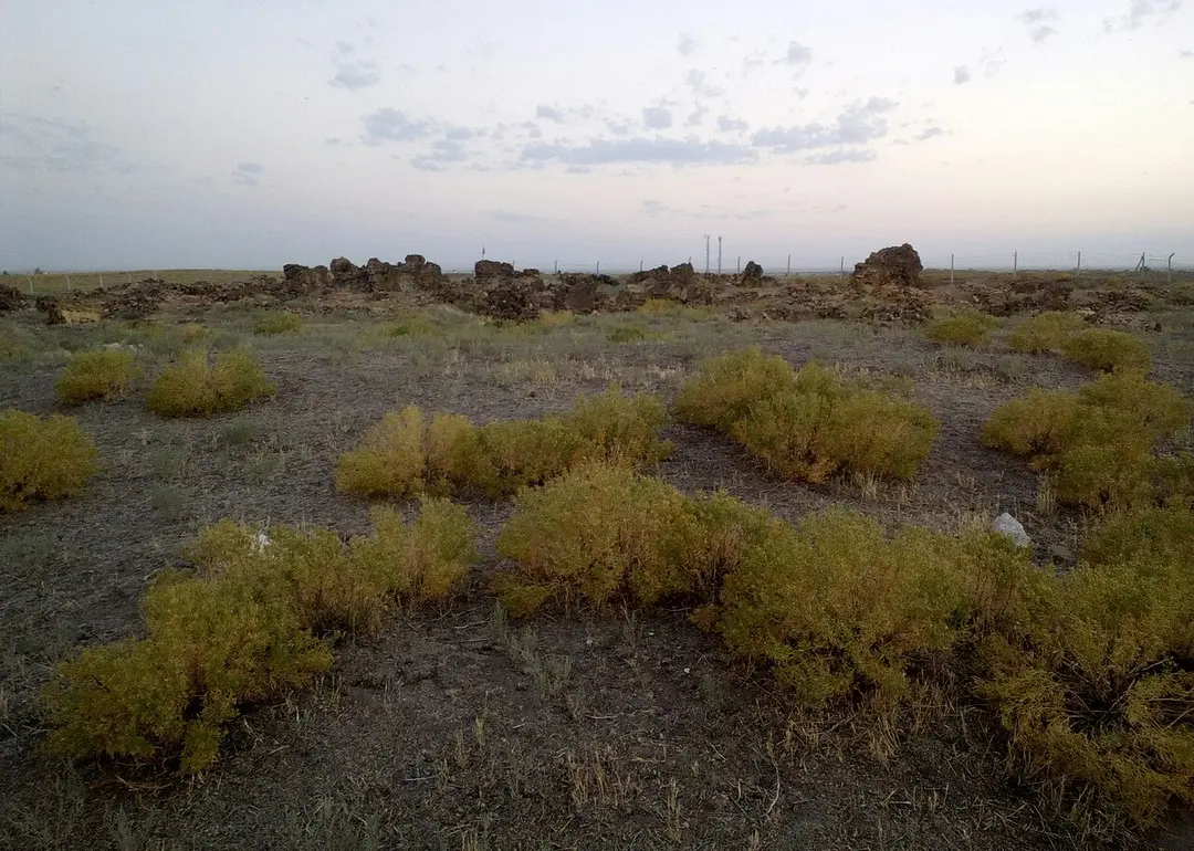 Acemhöyük