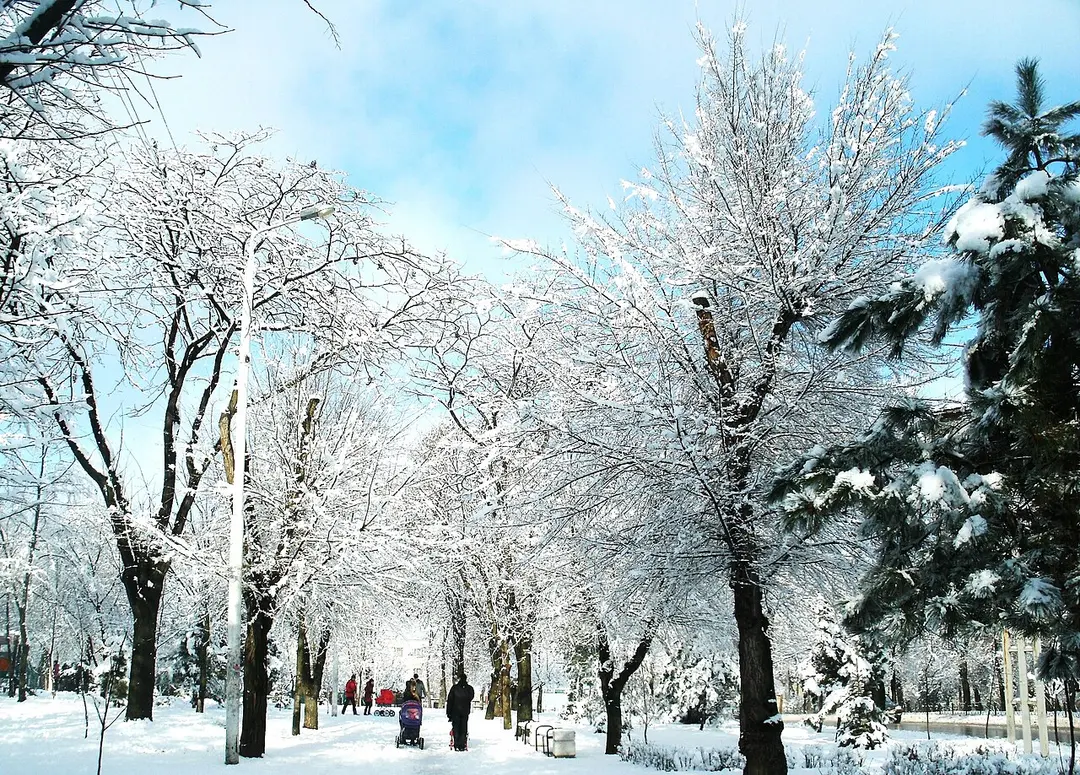 Botanischer Garten der Südlichen Föderalen Universität