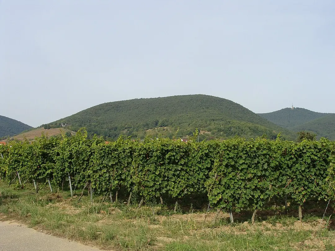 Breitenberg