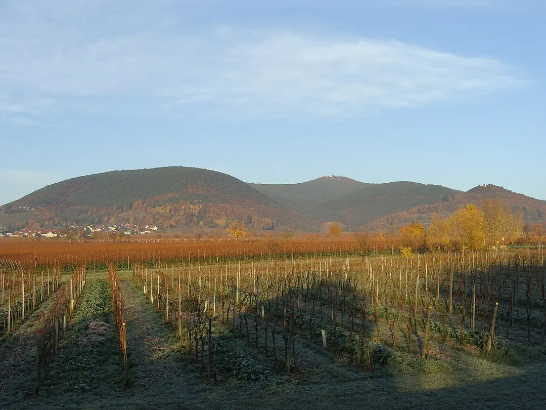 Breitenberg