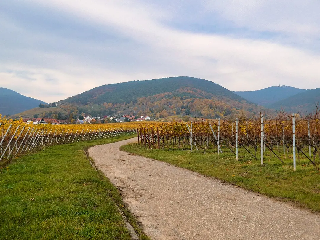 Breitenberg