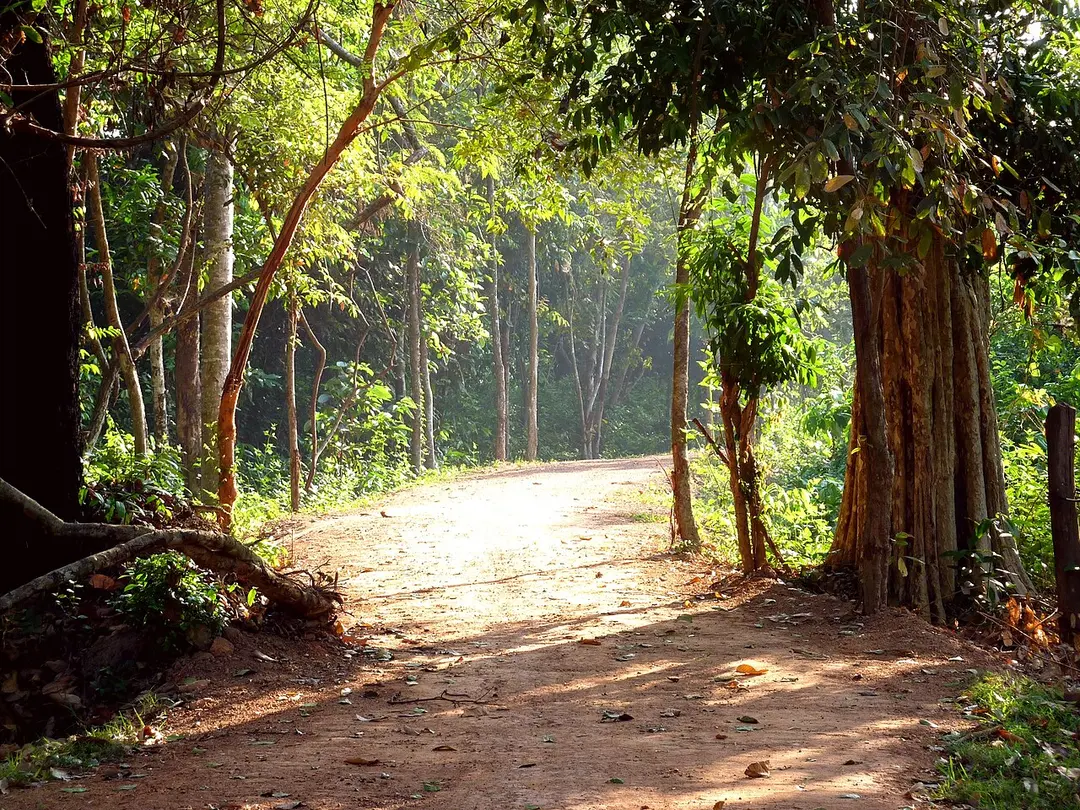 Angkor