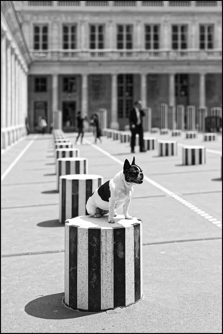 Colonnes de Buren
