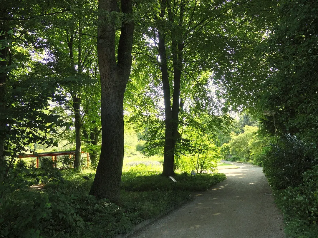 Botanischer Garten