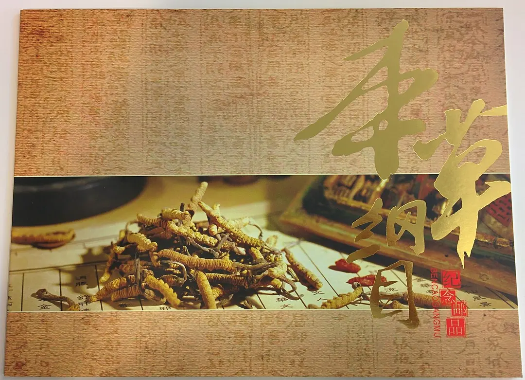 Literaturwissenschaft Chinesische Nation