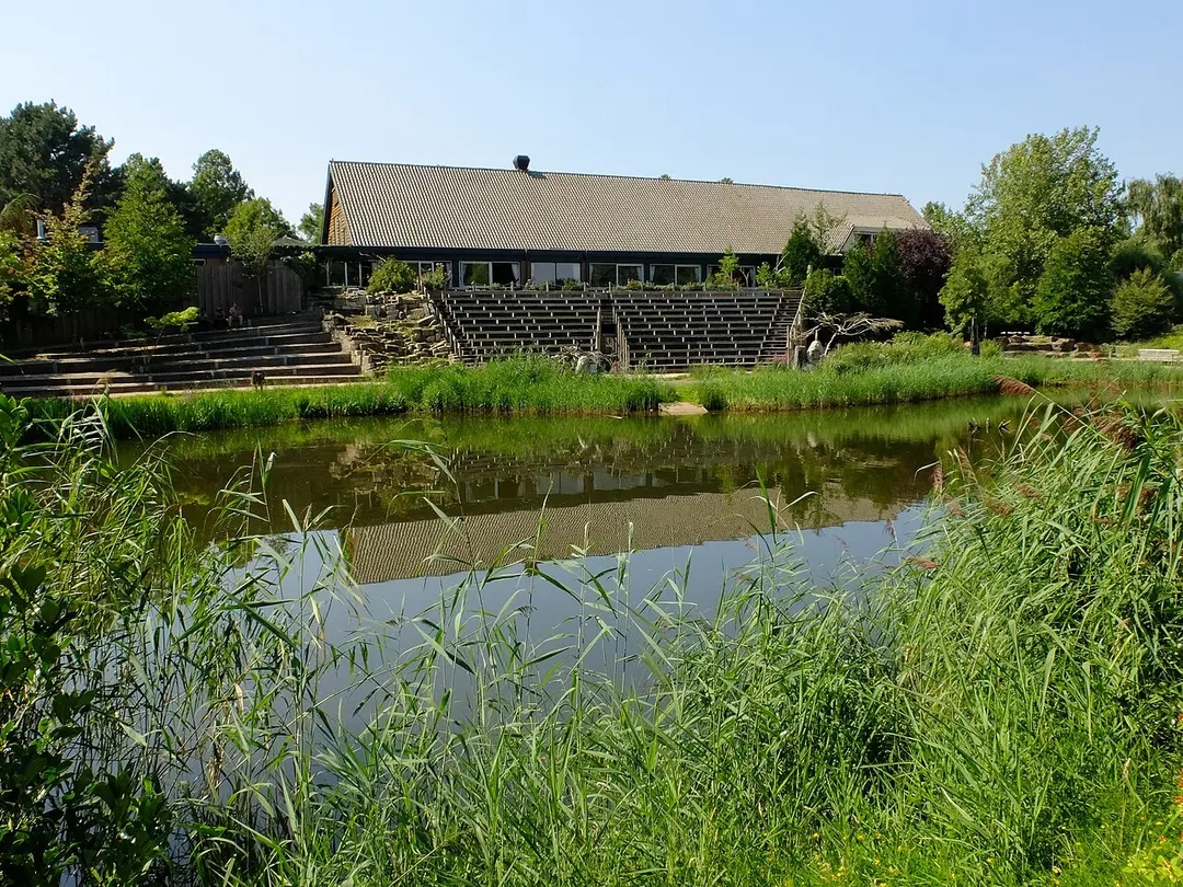 Avifauna