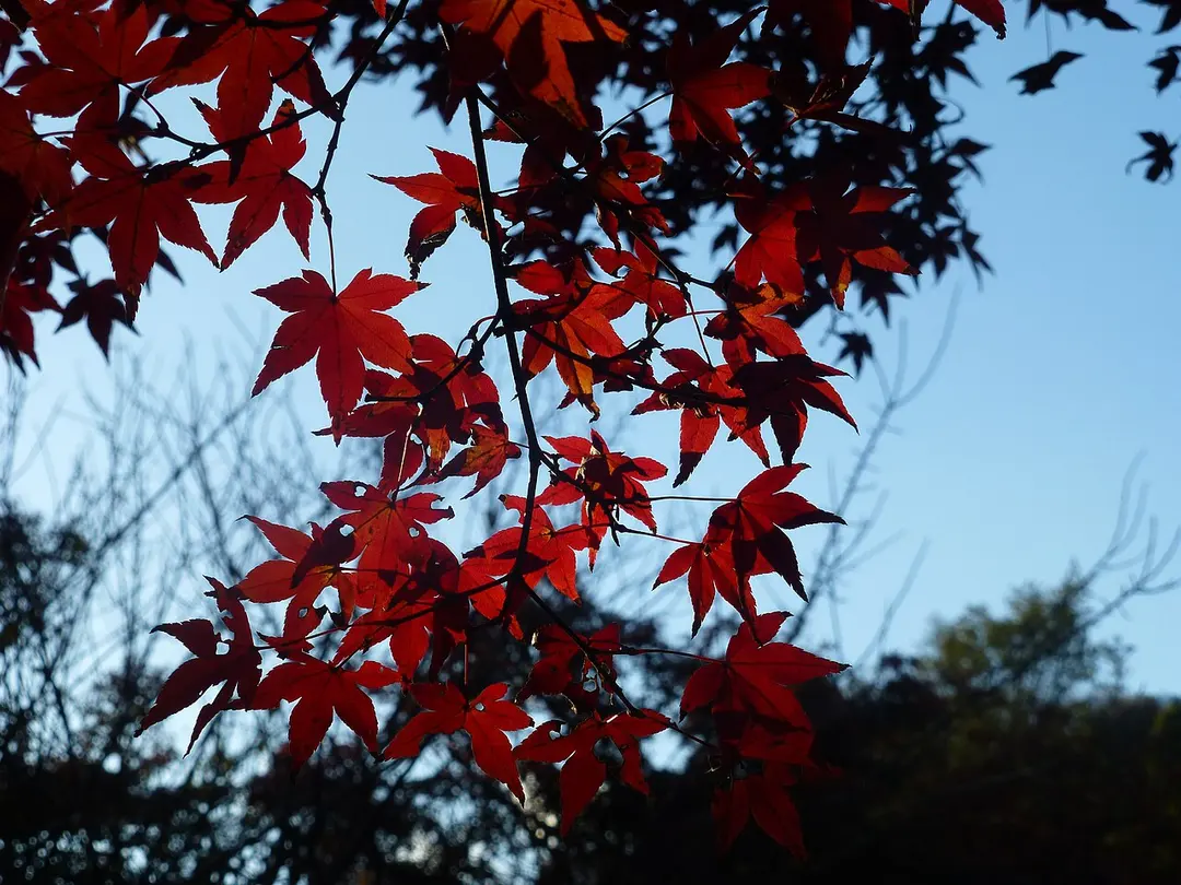 鎌倉宮