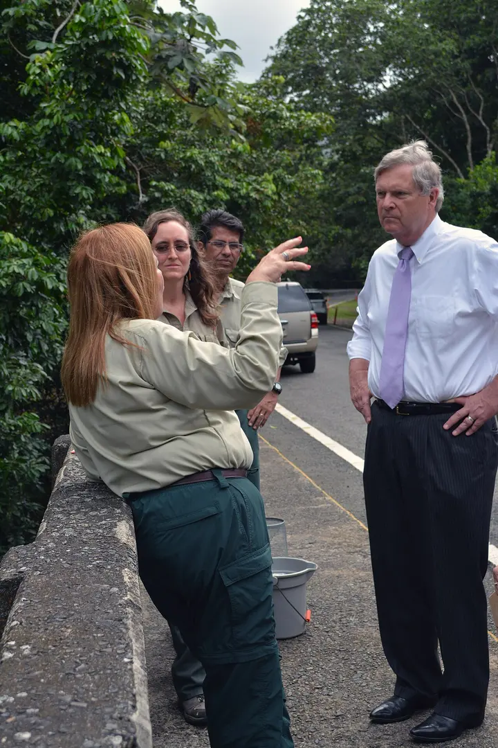 Bosque Nacional El Yunque
