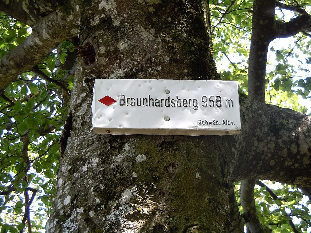 Braunhardsberg