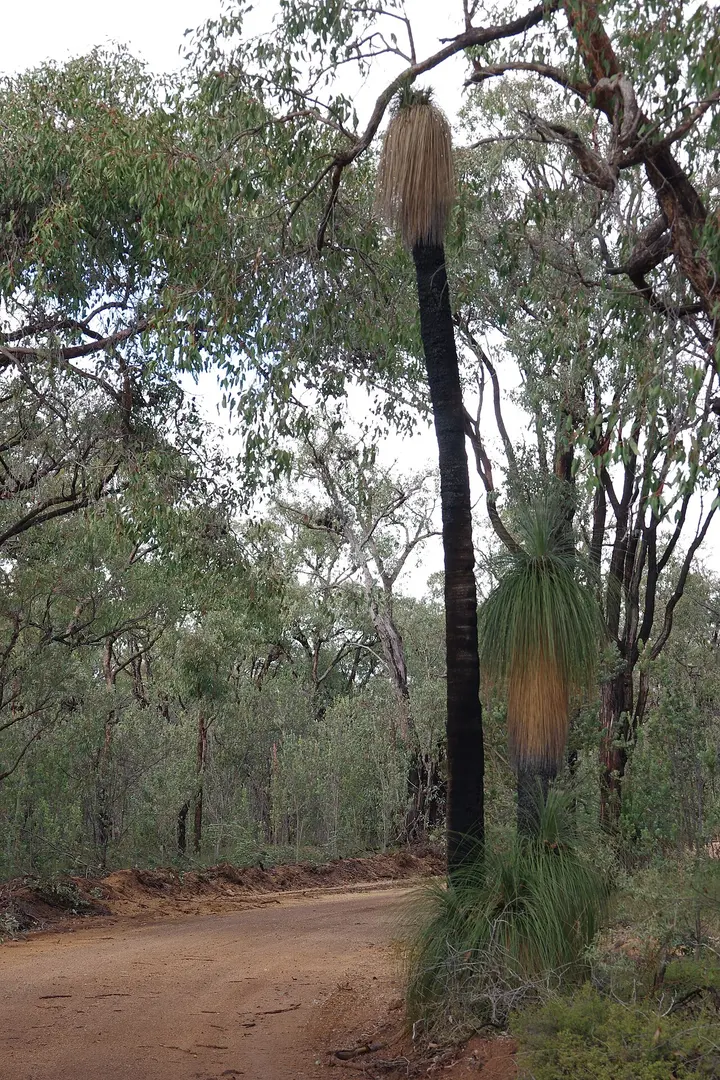 Avon Valley National Park